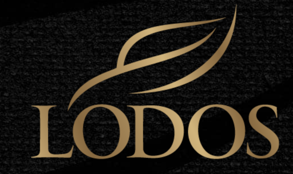 Lodos İnşaat