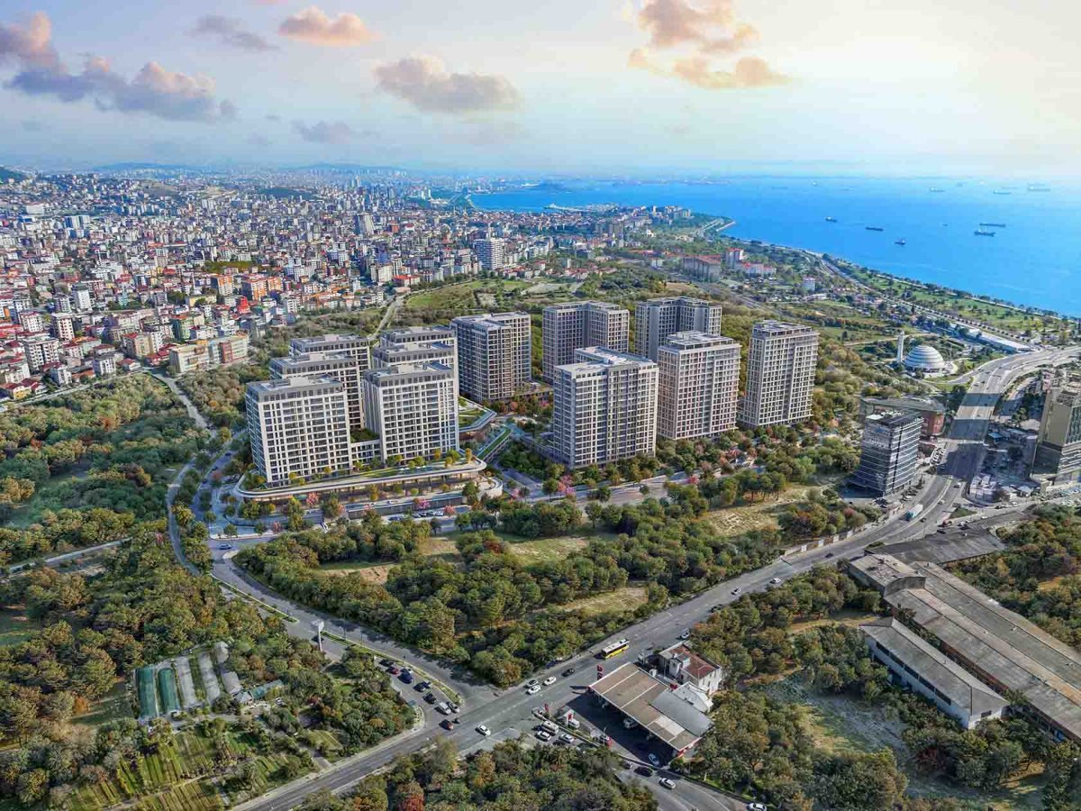 kuzey-adalar-kartal-ustten-2