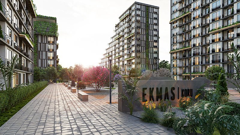 Ekmas Koru